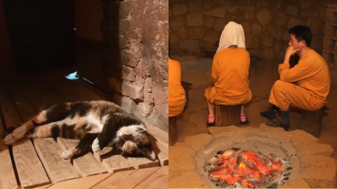 首爾新村傳統汗蒸幕 貓店員陪你嘆汗蒸！