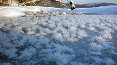 日本北海道罕見自然奇景 阿寒湖現霜之花海！