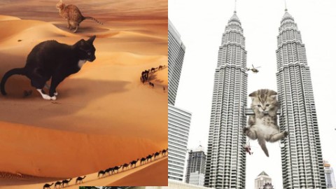 超巨型貓星人侵略世界名勝 沙漠化身巨型貓廁所！
