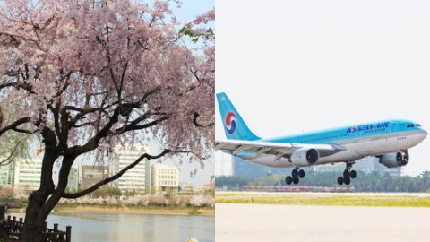 飛首爾全線減價、櫻花季都有平！ 港航/韓亞/大韓/國泰來回首爾$1150起