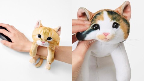 想抓住你的手臂不放！ 日本超得意貓咪手臂枕