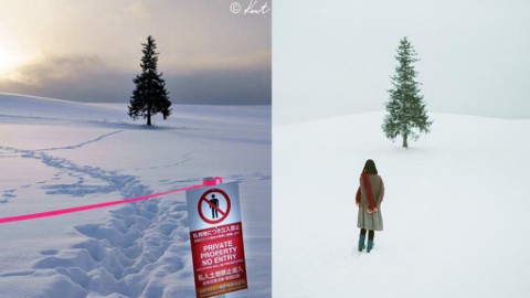 疑再有港人擅闖北海道農地！ 日攝影師怒斥：完全違反攝影禮儀