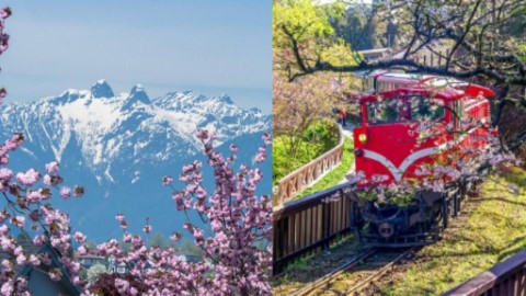 旅遊網公布5大預訂平機票酒店貼士 選對日子慳足25%