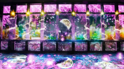 整座鐵塔被粉紅櫻花包圍！ 東京鐵塔櫻花夜景投影展