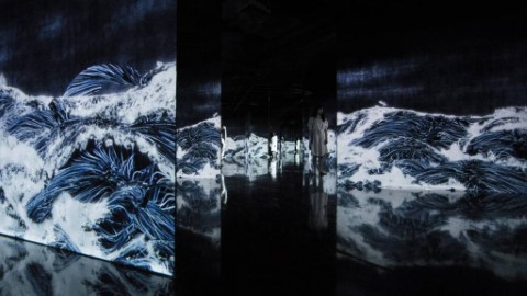 巨大波浪投影+花影塗鴉 金澤21世紀美術館舉行teamLab新展覽