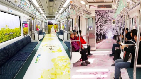 韓國推出櫻花&油菜花主題車卡 期間限定櫻花列車！