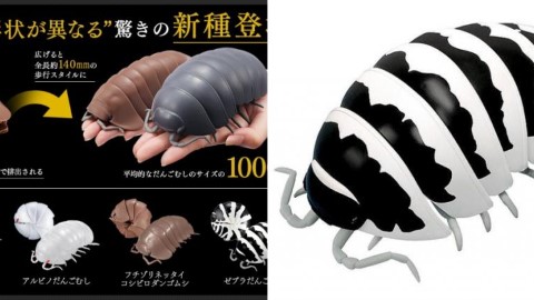 嘔心鼠婦扭蛋推出第3彈！ 比真實大10倍．斑馬/珍珠色款式