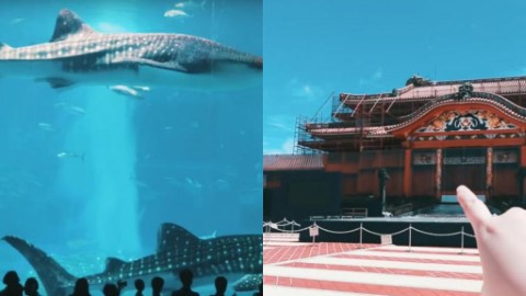 3分鐘遊沖繩12大景點 美麗海水族館/首里城/萬座毛