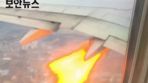 大韓航空乘客拍到引擎噴火！ 疑有雀鳥飛入致引擎故障