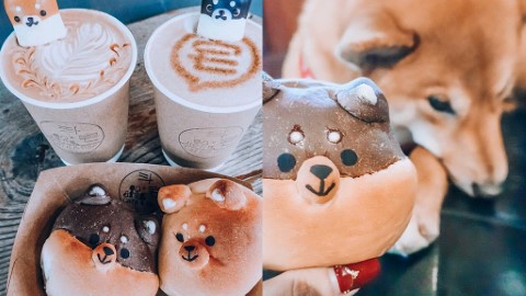 台灣文創柴犬咖啡店 萌爆圓碌碌柴犬麵包！