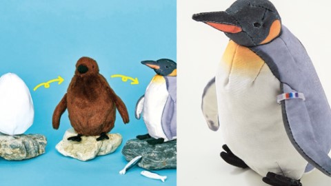 由蛋孵化成企鵝 日本新推超萌企鵝進化公仔