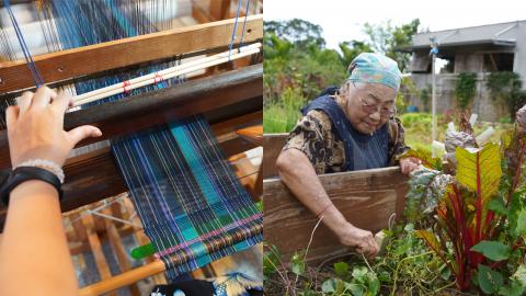 石垣島6大地道體驗 農家料理／星空保護區／傳統織布