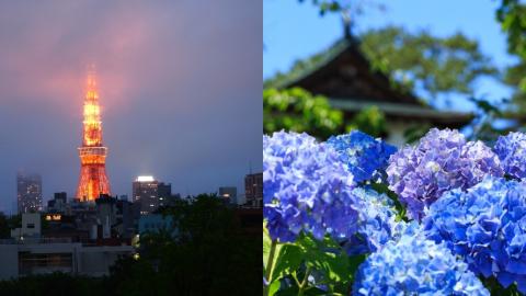 鹿兒島奄美地區正式進入梅雨季！ 日本2019年梅雨季日期預測．注意事項．景點推薦
