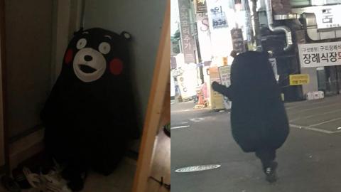 韓國店員報稱「熊本熊」走失了 酒醒當事人﹕為何「熊本熊」會在我們家？