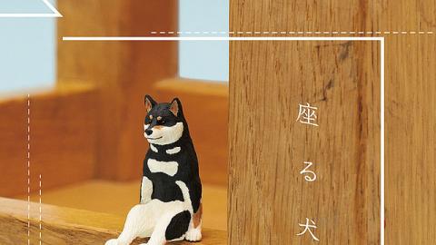 日本推出可愛柴犬扭蛋 柴犬乖乖坐著思考人生？