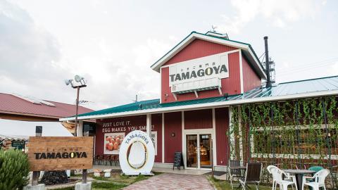 必食招牌太陽蛋Pancake！ 靜岡縣蛋料理專門店