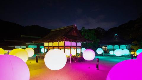 大自然化身光之藝術空間 teamLab再度舉行京都下鴨神社光之祭典
