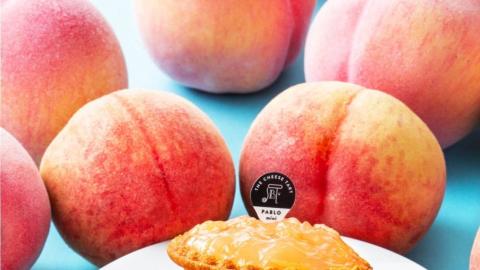 夏天限定！ 日本PABLO推出桃肉芝士撻