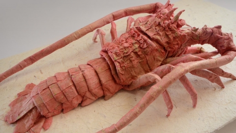 日本摺紙神人 一張紙1:1還原伊勢海老