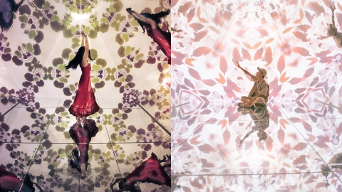 台北萬花筒光影藝術展覽 室內天空之鏡/花草萬花筒隧道