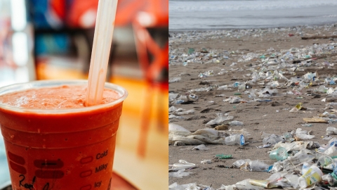 南澳洲宣布將全面禁用一次性塑膠製品 為澳洲首個州政府推行法例