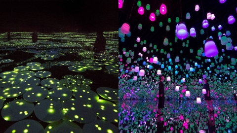 台場teamLab美術館夏日限定主題 繡球花燈之森林
