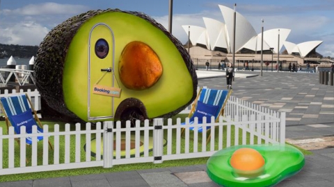 住入牛油果欣賞美景！