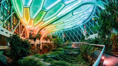 首爾植物園夏日限定夜間觀覽 玻璃溫室夢幻燈光體驗！