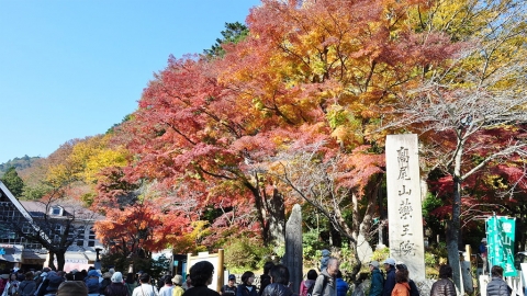 10大東京人氣紅葉銀杏景點推薦