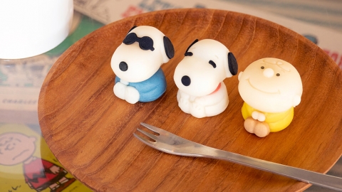日本便利店限定！ Snoopy、Charlie Brown造型和菓子