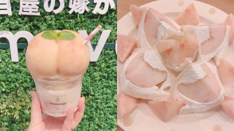 大阪近郊網紅水果專門店Cafe