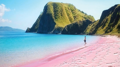 世界7大自然粉紅景色合集 自然形成粉紅湖／粉紅沙灘