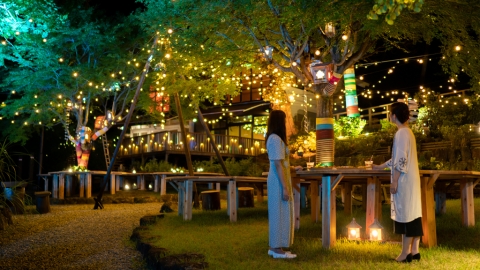 箱根湯本夏日限定Summer Night Village 夜間點燈變身童話森林