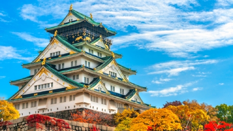 日本賞紅葉提案