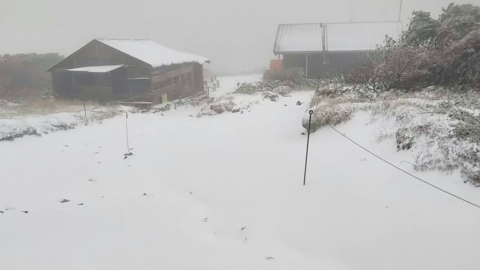 北海道黑岳迎來本年度初雪 比平年較早！積雪達5cm