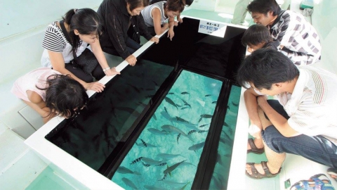 360度探索海洋世界！沖繩部瀨名海中公園 5米深海中瞭望塔+玻璃底遊艇