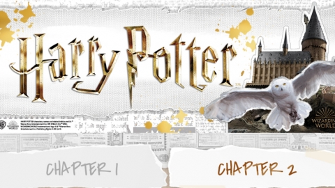 韓國戲院推限量哈利波特精品 還原度超高分類帽／多比公仔！