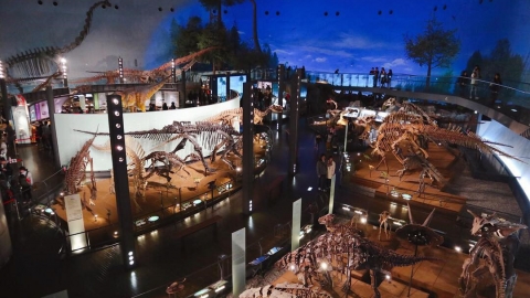 福井縣立恐龍博物館 探索恐龍世界/體驗化石發掘