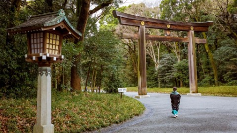 Airbnb預測2020年最受歡迎20大景點 東京排17、泰國郊區第3