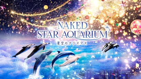 品川水族館冬季聖誕投影展覽 置身夢幻星海燈光探望海洋生物