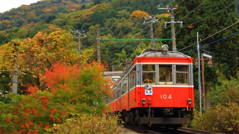 箱根空中纜車時隔5月全面重開 箱根最新交通情況整理