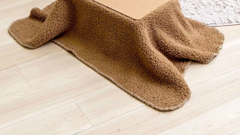 3COINS新推冬天懶人恩物 500日圓迷你被爐方便床上耍廢