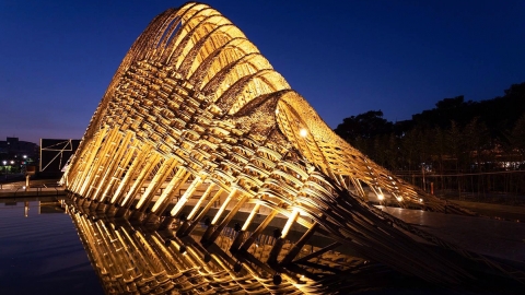 2019台灣光環境獎出爐！ 合歡山國際暗空公園獲特別獎