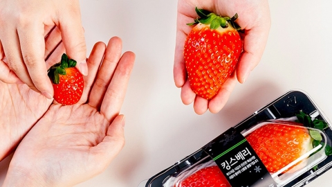 蘋果咁大嘅士多啤梨？ 韓國便利店超巨型草莓王