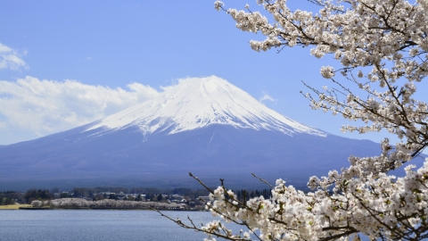 HK Express年尾勁減！出年櫻花季照平！ 日本/韓國/東南亞/台中單程$78起