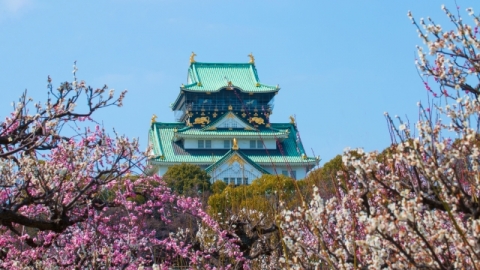 9大農曆新年假期好去處 賞梅花/冬季燈飾/PIXAR展/USJ/摘士多啤梨