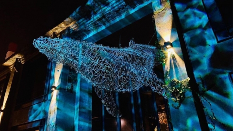 高雄駁二藝術特區夜間藝術光景 大型鯨魚雕塑/空中星光燈棚