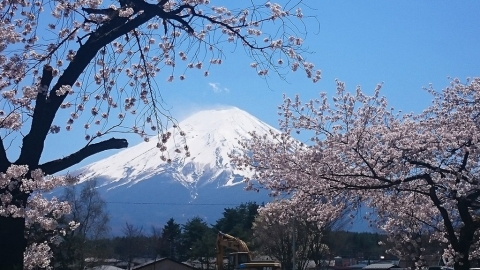HK Express新年勁減！櫻花季照減！