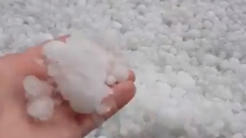 澳洲首都坎培拉天降大型冰雹 砸碎車窗、大量雀鳥受傷死亡