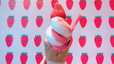 東京大熱原粒士多啤梨牛奶雪糕店STRAWBERRY MANIA 多款士多啤梨造型甜品